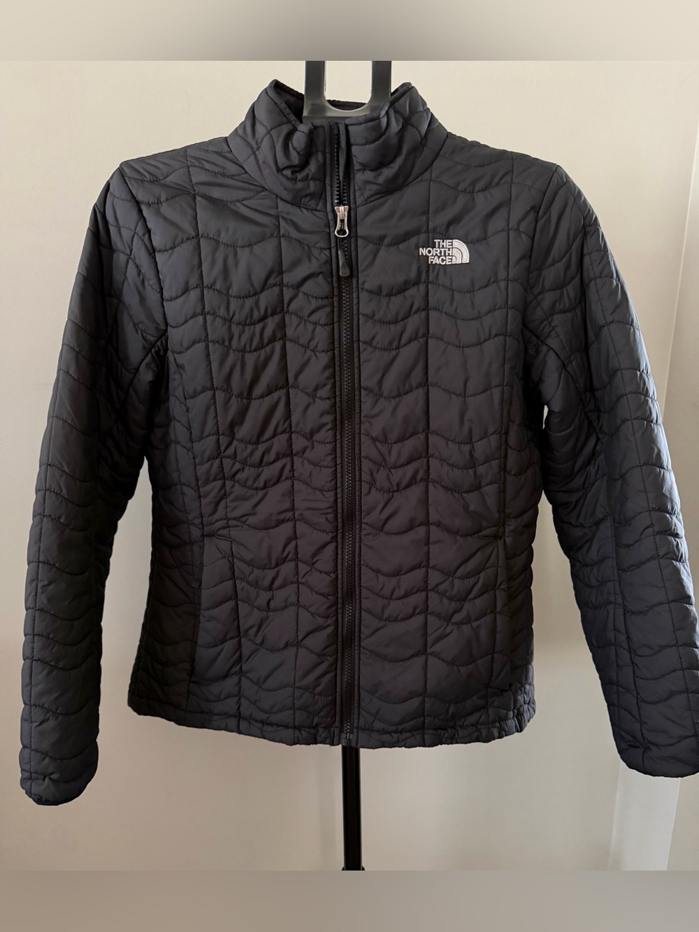 The North Face Women's Black Quilted Packable Puffer Jacket